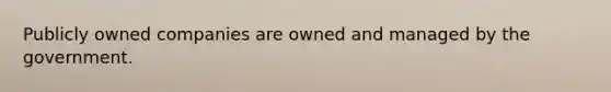 Publicly owned companies are owned and managed by the government.