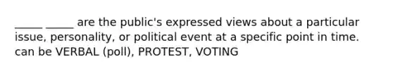 _____ _____ are the public's expressed views about a particular issue, personality, or political event at a specific point in time. can be VERBAL (poll), PROTEST, VOTING