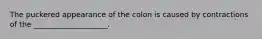 The puckered appearance of the colon is caused by contractions of the ____________________.