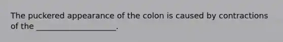 The puckered appearance of the colon is caused by contractions of the ____________________.