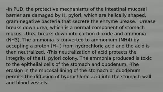 -In PUD, the protective mechanisms of the intestinal mucosal barrier are damaged by H. pylori, which are helically shaped, gram-negative bacteria that secrete the enzyme urease. -Urease breaks down urea, which is a normal component of stomach mucus. -Urea breaks down into carbon dioxide and ammonia (NH3). The ammonia is converted to ammonium (NH4) by accepting a proton (H+) from hydrochloric acid and the acid is then neutralized. -This neutralization of acid protects the integrity of the H. pylori colony. The ammonia produced is toxic to the epithelial cells of <a href='https://www.questionai.com/knowledge/kLccSGjkt8-the-stomach' class='anchor-knowledge'>the stomach</a> and duodenum. -The erosion in the mucosal lining of the stomach or duodenum permits the diffusion of hydrochloric acid into the stomach wall and <a href='https://www.questionai.com/knowledge/kZJ3mNKN7P-blood-vessels' class='anchor-knowledge'>blood vessels</a>.