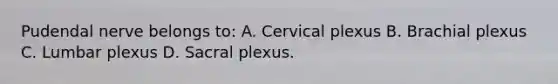 Pudendal nerve belongs to: A. Cervical plexus B. Brachial plexus C. Lumbar plexus D. Sacral plexus.