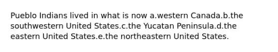 Pueblo Indians lived in what is now a.western Canada.b.the southwestern United States.c.the Yucatan Peninsula.d.the eastern United States.e.the northeastern United States.