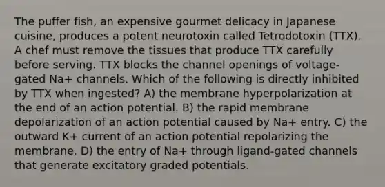 The puffer fish, an expensive gourmet delicacy in Japanese cuisine, produces a potent neurotoxin called Tetrodotoxin (TTX). A chef must remove the tissues that produce TTX carefully before serving. TTX blocks the channel openings of voltage-gated Na+ channels. Which of the following is directly inhibited by TTX when ingested? A) the membrane hyperpolarization at the end of an action potential. B) the rapid membrane depolarization of an action potential caused by Na+ entry. C) the outward K+ current of an action potential repolarizing the membrane. D) the entry of Na+ through ligand-gated channels that generate excitatory graded potentials.