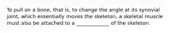 To pull on a bone, that is, to change the angle at its synovial joint, which essentially moves the skeleton, a skeletal muscle must also be attached to a _____________ of the skeleton.