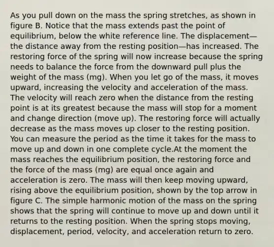 As you pull down on the mass the spring stretches, as shown in figure B. Notice that the mass extends past the point of equilibrium, below the white reference line. The displacement—the distance away from the resting position—has increased. The restoring force of the spring will now increase because the spring needs to balance the force from the downward pull plus the weight of the mass (mg). When you let go of the mass, it moves upward, increasing the velocity and acceleration of the mass. The velocity will reach zero when the distance from the resting point is at its greatest because the mass will stop for a moment and change direction (move up). The restoring force will actually decrease as the mass moves up closer to the resting position. You can measure the period as the time it takes for the mass to move up and down in one complete cycle.At the moment the mass reaches the equilibrium position, the restoring force and the force of the mass (mg) are equal once again and acceleration is zero. The mass will then keep moving upward, rising above the equilibrium position, shown by the top arrow in figure C. The simple harmonic motion of the mass on the spring shows that the spring will continue to move up and down until it returns to the resting position. When the spring stops moving, displacement, period, velocity, and acceleration return to zero.