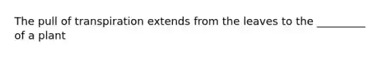The pull of transpiration extends from the leaves to the _________ of a plant