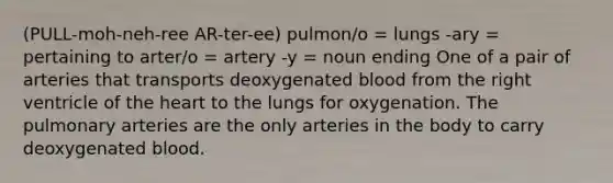 (PULL-moh-neh-ree AR-ter-ee) pulmon/o = lungs -ary = pertaining to arter/o = artery -y = noun ending One of a pair of arteries that transports deoxygenated blood from the right ventricle of the heart to the lungs for oxygenation. The pulmonary arteries are the only arteries in the body to carry deoxygenated blood.