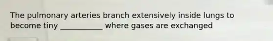 The pulmonary arteries branch extensively inside lungs to become tiny ___________ where gases are exchanged