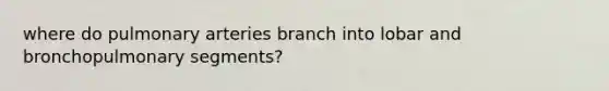 where do pulmonary arteries branch into lobar and bronchopulmonary segments?