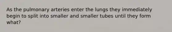 As the pulmonary arteries enter the lungs they immediately begin to split into smaller and smaller tubes until they form what?