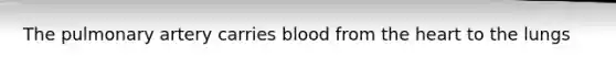 The pulmonary artery carries blood from the heart to the lungs