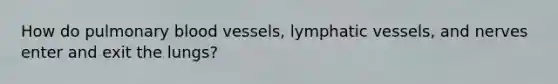 How do pulmonary blood vessels, lymphatic vessels, and nerves enter and exit the lungs?