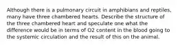 Although there is a pulmonary circuit in amphibians and reptiles, many have three chambered hearts. Describe the structure of the three chambered heart and speculate one what the difference would be in terms of O2 content in the blood going to the systemic circulation and the result of this on the animal.