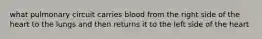what pulmonary circuit carries blood from the right side of the heart to the lungs and then returns it to the left side of the heart