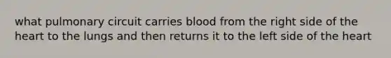 what pulmonary circuit carries blood from the right side of the heart to the lungs and then returns it to the left side of the heart