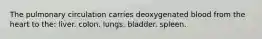 The pulmonary circulation carries deoxygenated blood from the heart to the: liver. colon. lungs. bladder. spleen.