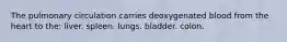 The pulmonary circulation carries deoxygenated blood from the heart to the: liver. spleen. lungs. bladder. colon.