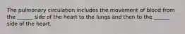 The pulmonary circulation includes the movement of blood from the ______ side of the heart to the lungs and then to the ______ side of the heart.