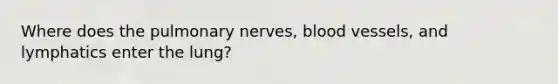 Where does the pulmonary nerves, blood vessels, and lymphatics enter the lung?