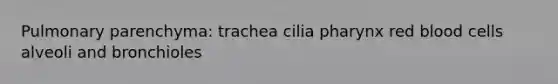 Pulmonary parenchyma: trachea cilia pharynx red blood cells alveoli and bronchioles