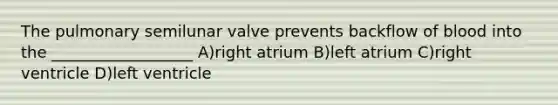 The pulmonary semilunar valve prevents backflow of blood into the __________________ A)right atrium B)left atrium C)right ventricle D)left ventricle