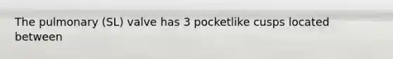 The pulmonary (SL) valve has 3 pocketlike cusps located between