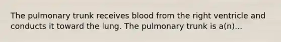 The pulmonary trunk receives blood from the right ventricle and conducts it toward the lung. The pulmonary trunk is a(n)...