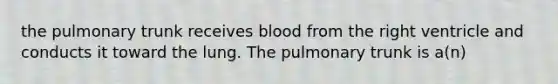 the pulmonary trunk receives blood from the right ventricle and conducts it toward the lung. The pulmonary trunk is a(n)