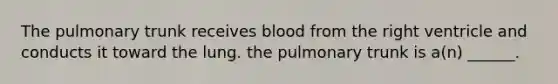 The pulmonary trunk receives blood from the right ventricle and conducts it toward the lung. the pulmonary trunk is a(n) ______.