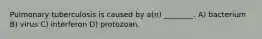 Pulmonary tuberculosis is caused by a(n) ________. A) bacterium B) virus C) interferon D) protozoan.