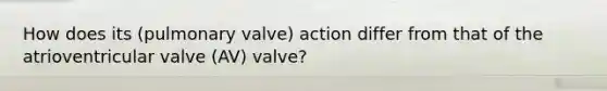 How does its (pulmonary valve) action differ from that of the atrioventricular valve (AV) valve?