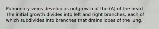 Pulmonary veins develop as outgrowth of the (A) of the heart. The initial growth divides into left and right branches, each of which subdivides into branches that drains lobes of the lung.