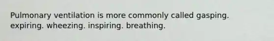 Pulmonary ventilation is more commonly called gasping. expiring. wheezing. inspiring. breathing.