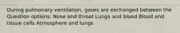 During pulmonary ventilation, gases are exchanged between the Question options: Nose and throat Lungs and blood Blood and tissue cells Atmosphere and lungs