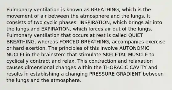 Pulmonary ventilation is known as BREATHING, which is the movement of air between the atmosphere and the lungs. It consists of two cyclic phases: INSPIRATION, which brings air into the lungs and EXPIRATION, which forces air out of the lungs. Pulmonary ventilation that occurs at rest is called QUIET BREATHING, whereas FORCED BREATHING, accompanies exercise or hard exertion. The principles of this involve AUTONOMIC NUCLEI in <a href='https://www.questionai.com/knowledge/kLMtJeqKp6-the-brain' class='anchor-knowledge'>the brain</a>stem that stimulate SKELETAL MUSCLE to cyclically contract and relax. This contraction and relaxation causes dimensional changes within the THORACIC CAVITY and results in establishing a changing PRESSURE GRADIENT between the lungs and the atmosphere.