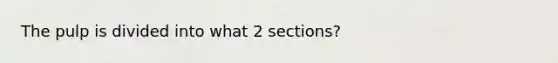 The pulp is divided into what 2 sections?