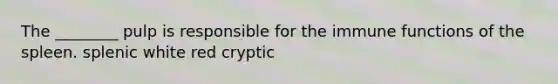 The ________ pulp is responsible for the immune functions of the spleen. splenic white red cryptic