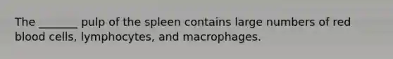 The _______ pulp of the spleen contains large numbers of red blood cells, lymphocytes, and macrophages.