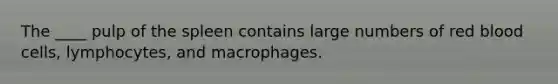 The ____ pulp of the spleen contains large numbers of red blood cells, lymphocytes, and macrophages.