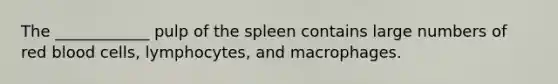 The ____________ pulp of the spleen contains large numbers of red blood cells, lymphocytes, and macrophages.