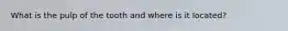 What is the pulp of the tooth and where is it located?