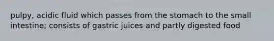 pulpy, acidic fluid which passes from the stomach to the small intestine; consists of gastric juices and partly digested food