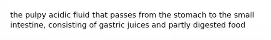 the pulpy acidic fluid that passes from the stomach to the small intestine, consisting of gastric juices and partly digested food