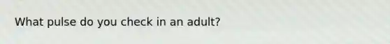 What pulse do you check in an adult?