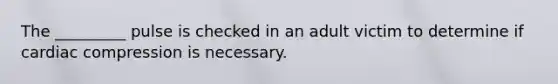 The _________ pulse is checked in an adult victim to determine if cardiac compression is necessary.