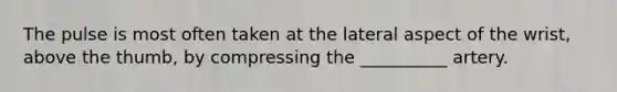 The pulse is most often taken at the lateral aspect of the wrist, above the thumb, by compressing the __________ artery.