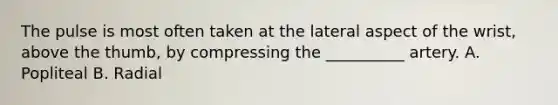 The pulse is most often taken at the lateral aspect of the wrist, above the thumb, by compressing the __________ artery. A. Popliteal B. Radial