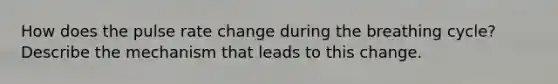 How does the pulse rate change during the breathing cycle? Describe the mechanism that leads to this change.