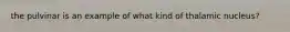the pulvinar is an example of what kind of thalamic nucleus?